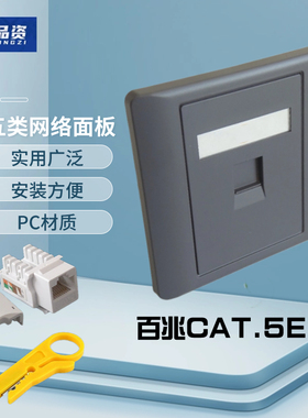 86型灰色一位带门超五类打线式CAT.5E电脑百兆水晶头面板墙壁插座