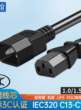 公母头10A纯铜IEC320 C13-C14PDU UPS 服务器电源延长线