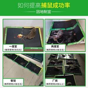 欧克乐强力粘鼠板老鼠贴自带诱香加大号粘鼠贴老鼠沾胶魔毯捕鼠器