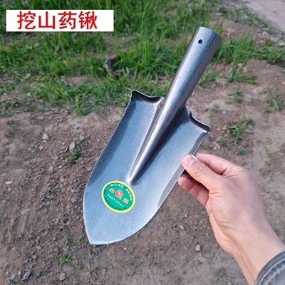 家用种花挖野菜小铁锹锰钢短把小锹垂钓车载挖土小铲子挖药材铲子