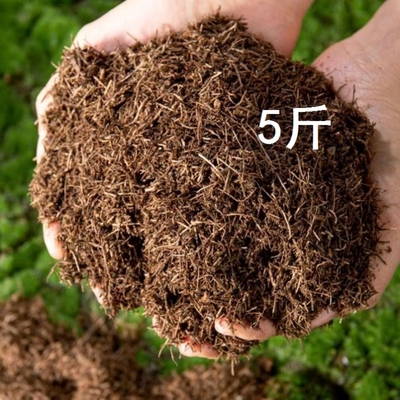 腐熟纯松针腐殖松针土通用型营养土腐叶土无土纯松针君子兰酸性土