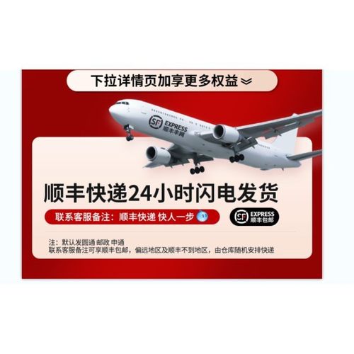 无线洗车机家用高压水枪清洗神器车用充电抢大功率锂电池强力增压