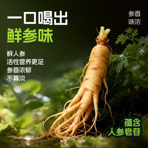 人参白桦树汁100%原汁长白山整根人参0脂东北植物饮320ml*6瓶整箱