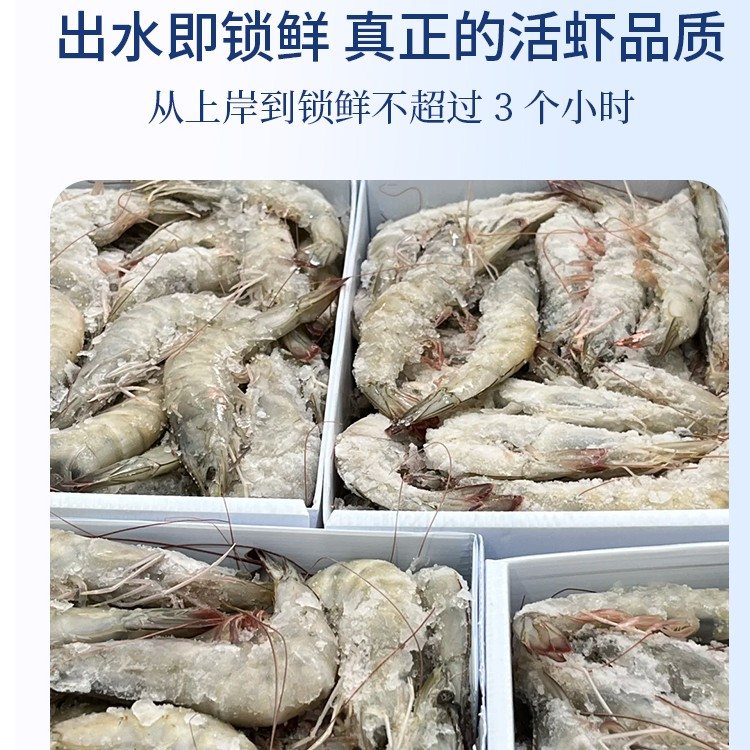 鲜拔头筹厄瓜多尔南美盐冻白虾2030规格3.3斤/盒