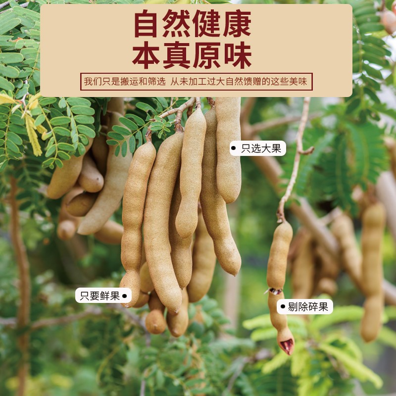 甜酸角新鲜大果正宗云南酸角甜角罗望子高膳食纤维零食宝藏零食