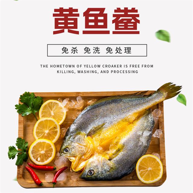 【6+3到手9条】宁德霞浦黄鱼鲞咸香大黄鱼黄花鱼新鲜免杀免洗免调