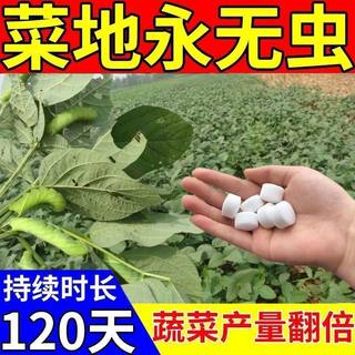 园艺防虫片菜地植物杀虫剂家庭绿植盆栽花卉防烂根蔬菜除驱虫药片