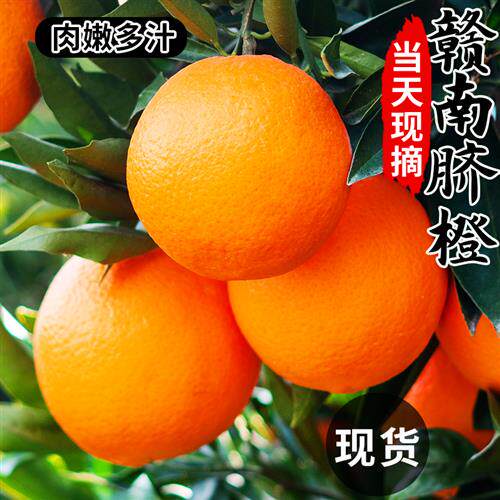 正宗江西赣南脐橙特级橙子10新鲜水果当季整箱斤赣州产地直采旗舰高性价比高么？