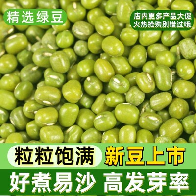 当季绿豆新货夏季绿豆汤煮粥米发豆芽专用豆子小绿豆沙冰甜品材料