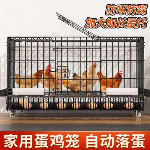室外养鸡专用笼特大号养殖笼自动