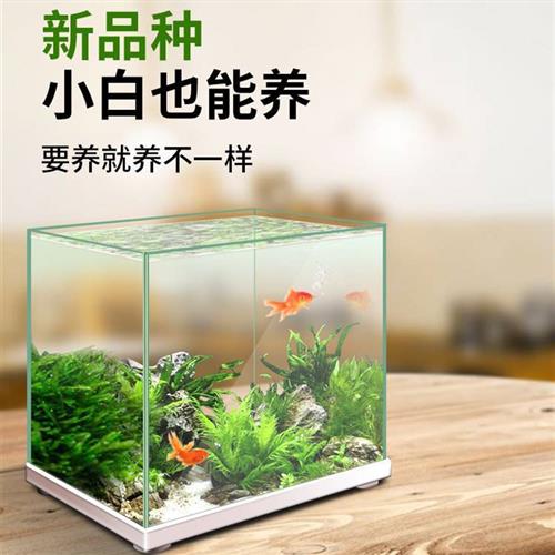 疯狂水草鱼缸水草植物真草阴性草缸造景套餐水培莫斯蜈蚣水榕水草