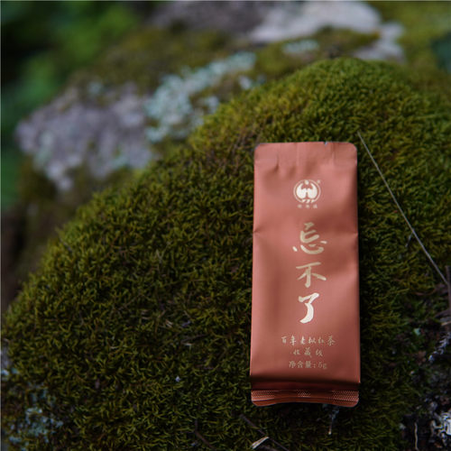 忘不了百年老枞红茶 传统炭焙茶气凸显 枞味弥漫|鸳鸯溪