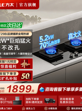 方太TF29B燃气灶煤气嵌入式灶台厨房家用天然气液化气灶具旗舰店
