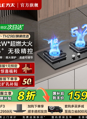 方太02-TH29B燃气灶煤气灶家用天然气炉灶台式燃气灶官方旗舰店