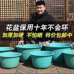 圆形欧式 室内花盘塑料种树超大花盆特大号庭院果树种植阳台户外