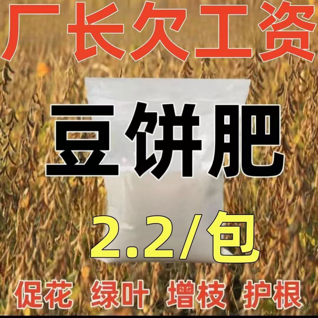 发酵豆饼肥料花卉植物盆