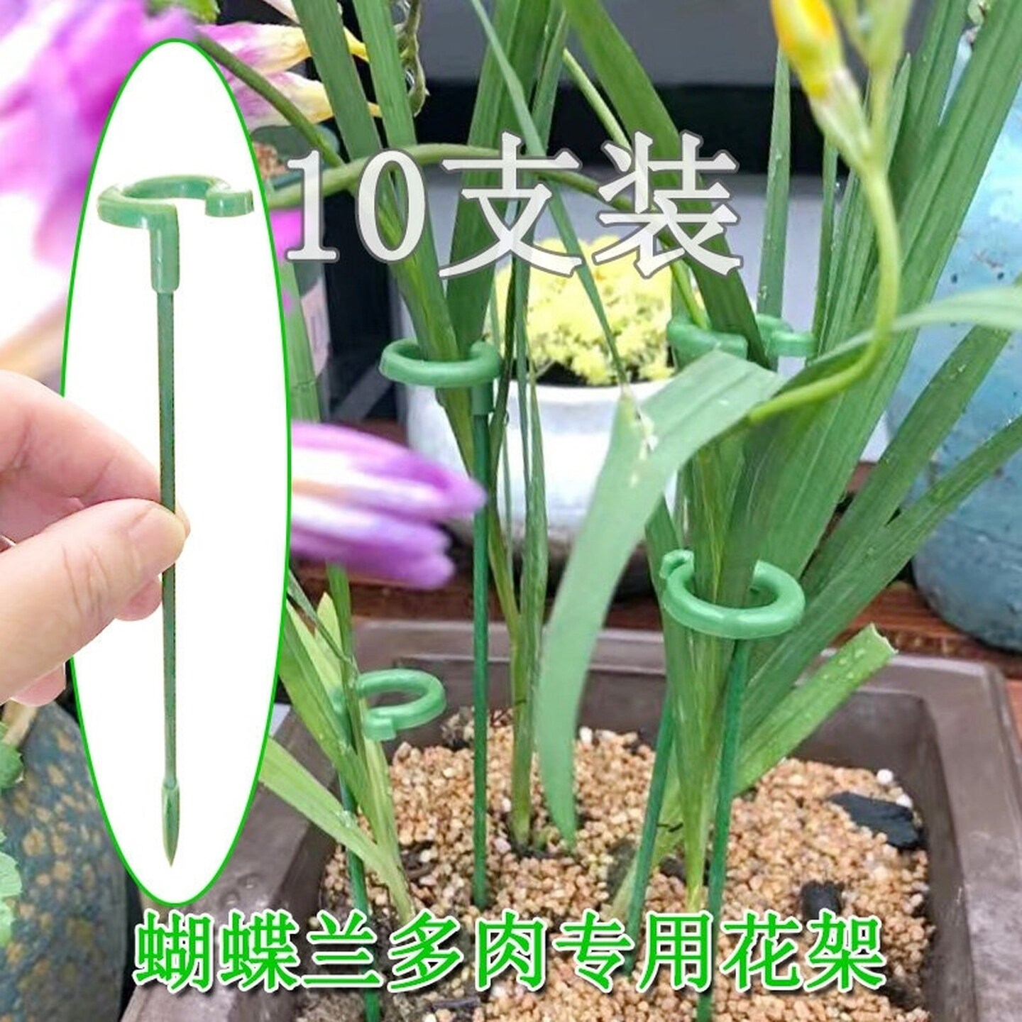 园艺支撑杆花架固定器蝴蝶兰花支架固定花神器植物塑形龟背竹果蔬