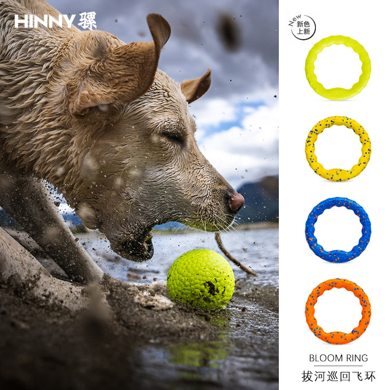 狗狗圆环飞盘狗狗玩具套装