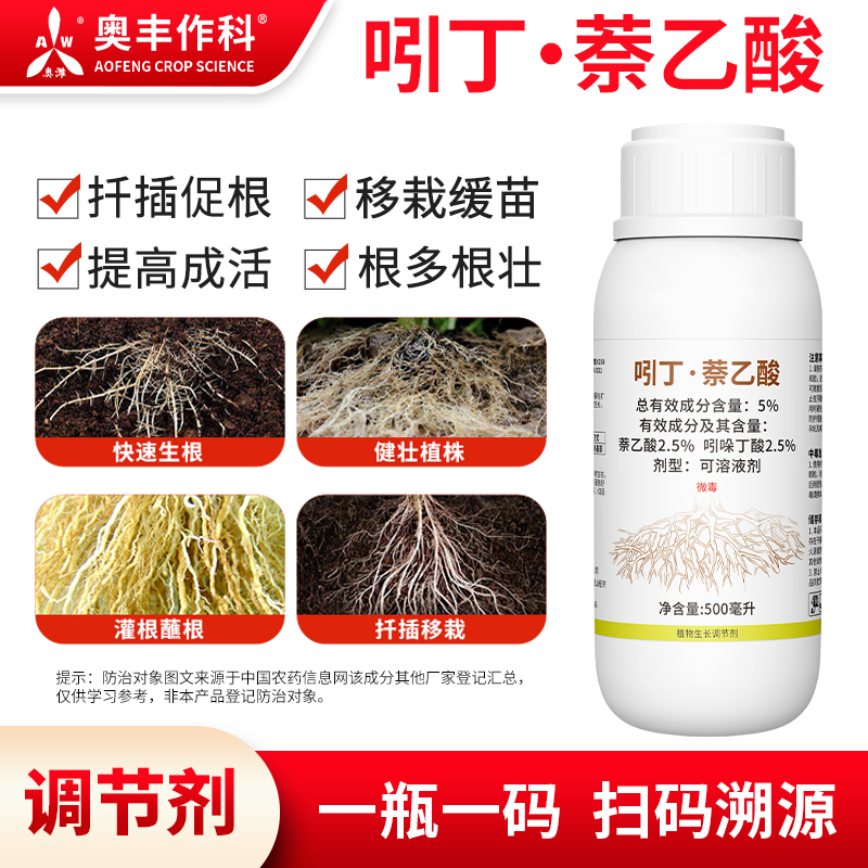 吲丁扦插移栽奥潍促根