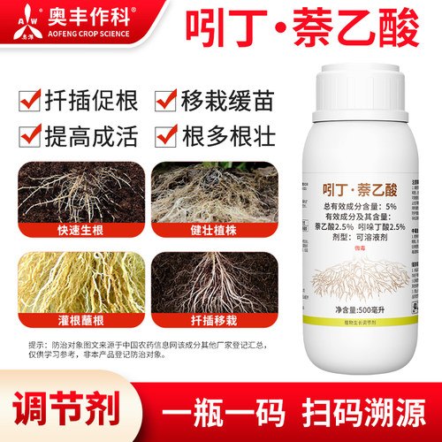 吲丁扦插移栽奥潍促根