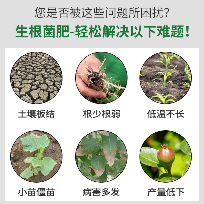 生根菌肥农用植物树木育苗扦插移栽通用快速强力发根生根粉壮苗剂