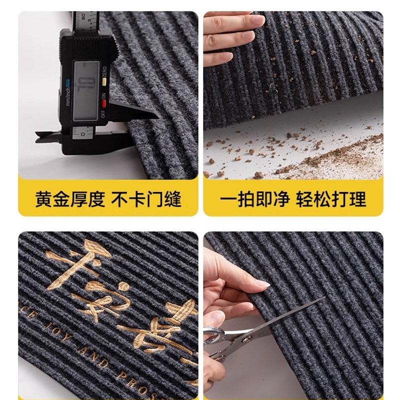 入户门地垫别墅门口进门门垫家用免洗耐脏红色地毯2023新款脚垫子