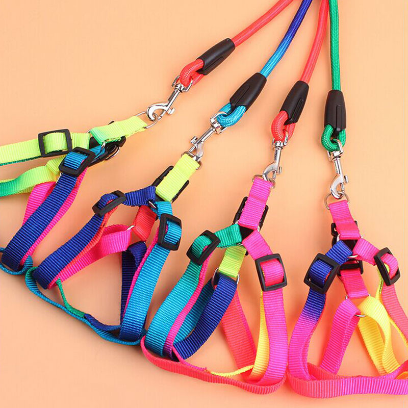 包邮宠物狗狗牵引绳中小型犬萨摩耶比熊贵宾泰迪七彩胸背带狗链子