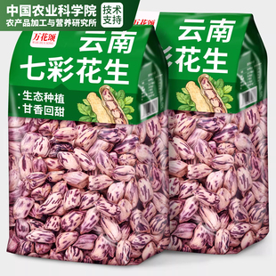 农科院七彩花生云南旗舰店特产2025年新花生米生的新鲜带壳花生熟