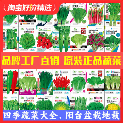 10包蔬菜种子四季播种盆栽草莓黄瓜生菜辣椒菠菜小葱番茄菜籽种孑