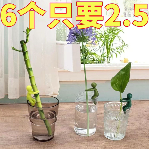 水培植物造型绿萝园艺生长叶伴侣