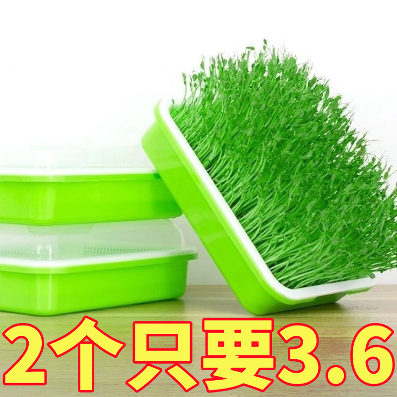 育苗盘种植发芽盆食品级家用豆芽机发豆芽专用盆神器生黄绿豆芽罐