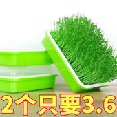 育苗盘种植发芽盆食品级家用豆芽机发豆芽专用盆神器生黄绿豆芽罐