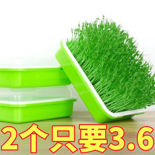 育苗盘豆芽机发豆芽专用盆