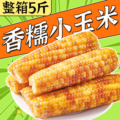 【5斤】香糯小玉米西双版纳特产