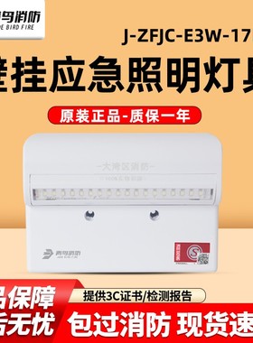 青鸟J-ZFJC-E3W-17B2壁挂应急照明灯具