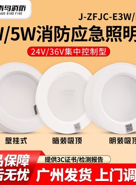 青鸟消防应急照明灯J-ZFJC-E5W-17Z7A/E3W-17Z6A壁挂吸顶3/5W灯具