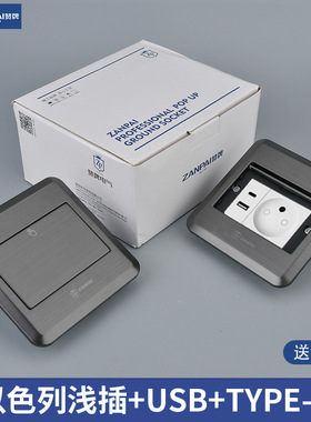 赞牌欧式外贸120型不锈钢灰色以色列USB+type-c地面插座