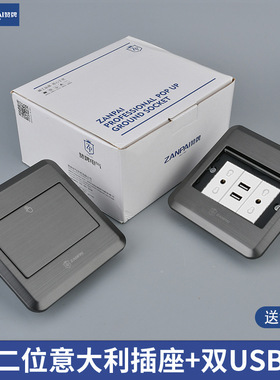 赞牌120型不锈钢灰色隐藏单开门二位意大利带USB插口外贸地面插座