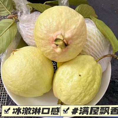 软糯芭乐5斤胭脂白番石榴软心鸡屎果白心潘巴乐台湾现摘新鲜水果