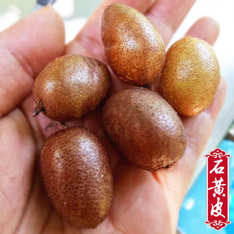 贵州新鲜野生石黄皮肾蕨果纯天然凤凰蛋天鸡蛋石枇杷现挖现发中药