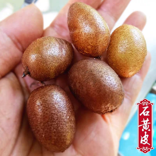 贵州新鲜野生石黄皮肾蕨果纯天然凤凰蛋天鸡蛋石枇杷现挖现发中药