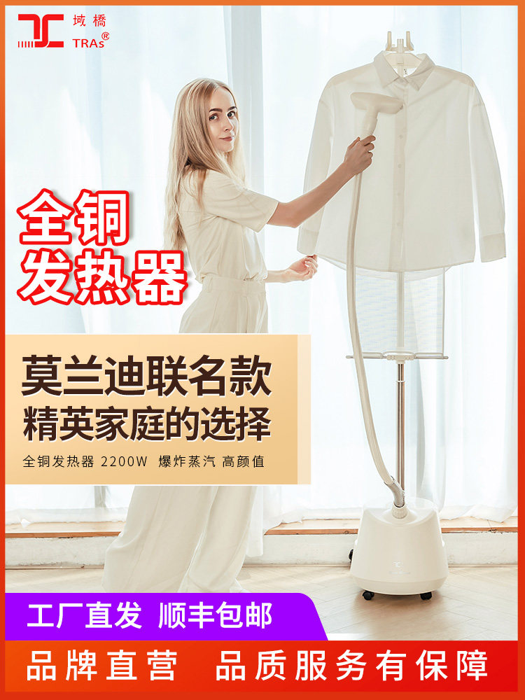 域桥挂烫机家用大功率大蒸汽熨烫机手持烫斗全铜芯立式服装店商用