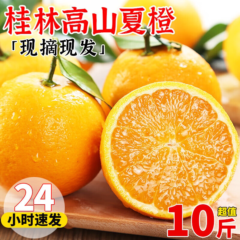 正宗富川夏橙新鲜广西脐橙当季现摘果橙子冻橙冰糖酸甜橙孕妇水果