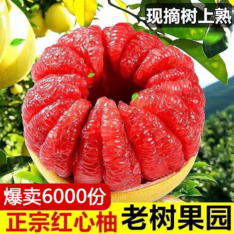 正宗红心柚子新鲜水果包邮应季时令水果红肉蜜柚福建平和红柚琯溪