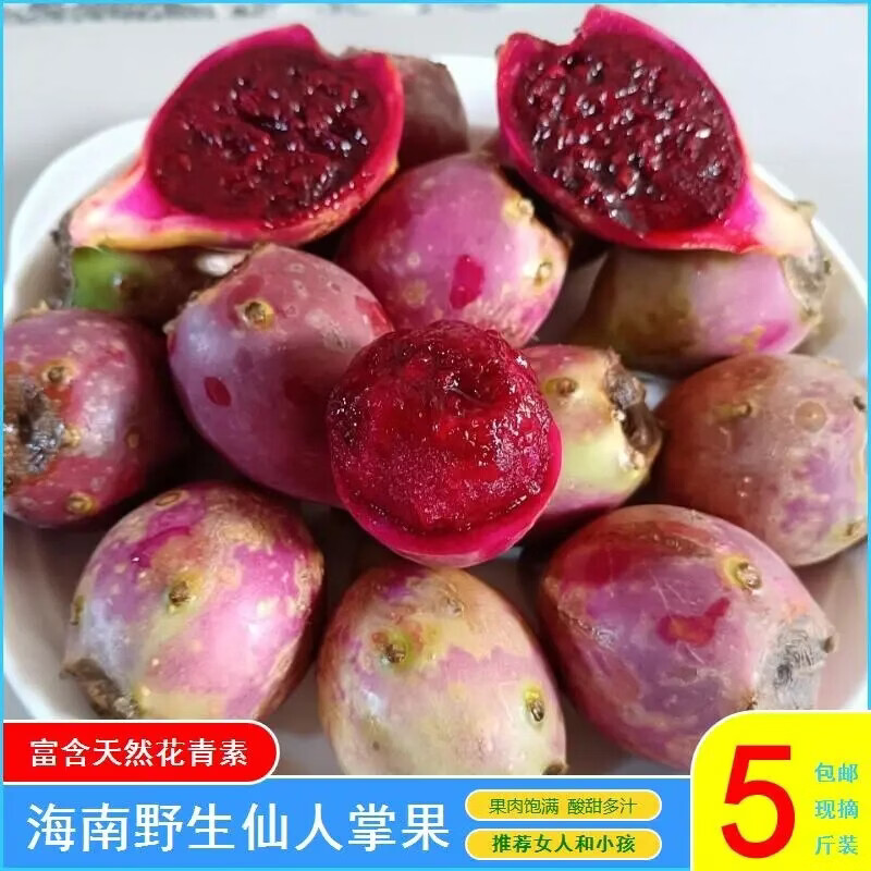 海南仙人掌果新鲜当季现摘现发仙人掌果仙桃大小随机2斤青红皮果