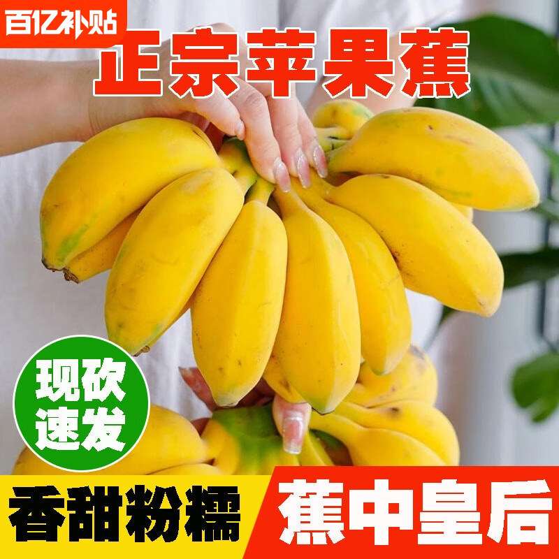 正宗海南苹果蕉当季新鲜苹果粉蕉粉糯香甜水果香蕉整箱广西苹果蕉
