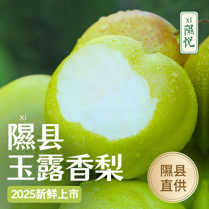 正宗山西隰县玉露香梨新鲜玉露脆梨孕妇水果果农直发香甜梨高山梨