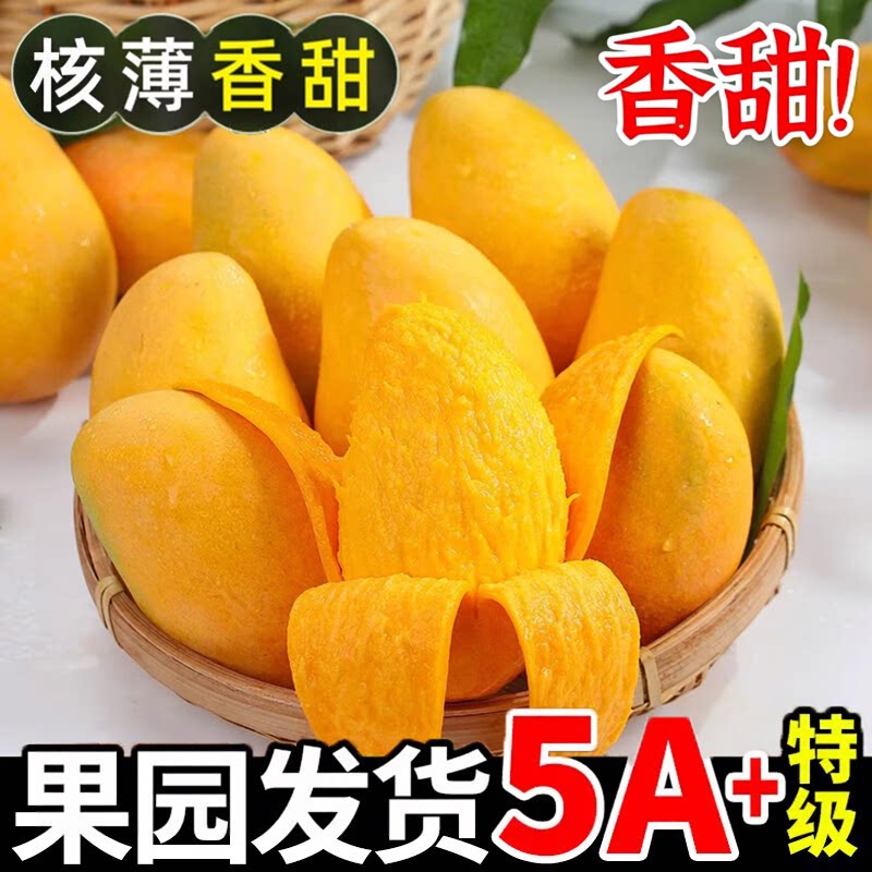 正宗海南小台芒果新鲜芒果台农芒孕妇水果甜心芒果现摘薄核小芒果