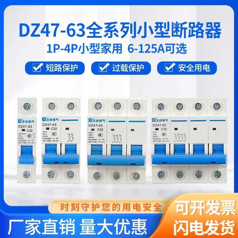 小型断路器DZ47-63/DZ47-125/1P2P3P4P家用空气空开6~125A总闸C45