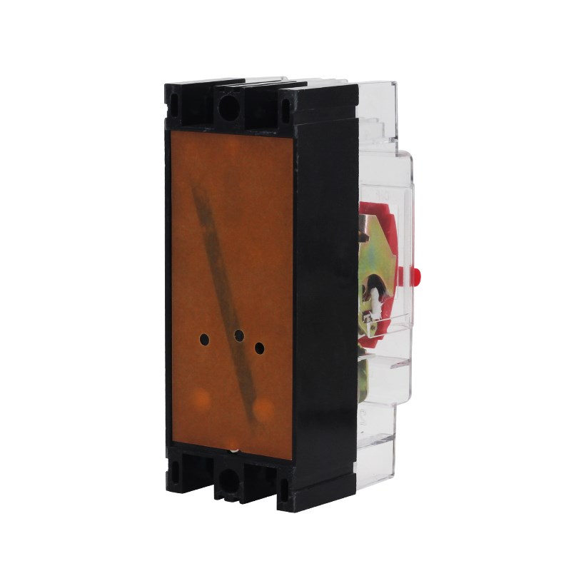 透明塑壳断路器空气开关DZ15-40 40A100A63A2P3P工地专用空开